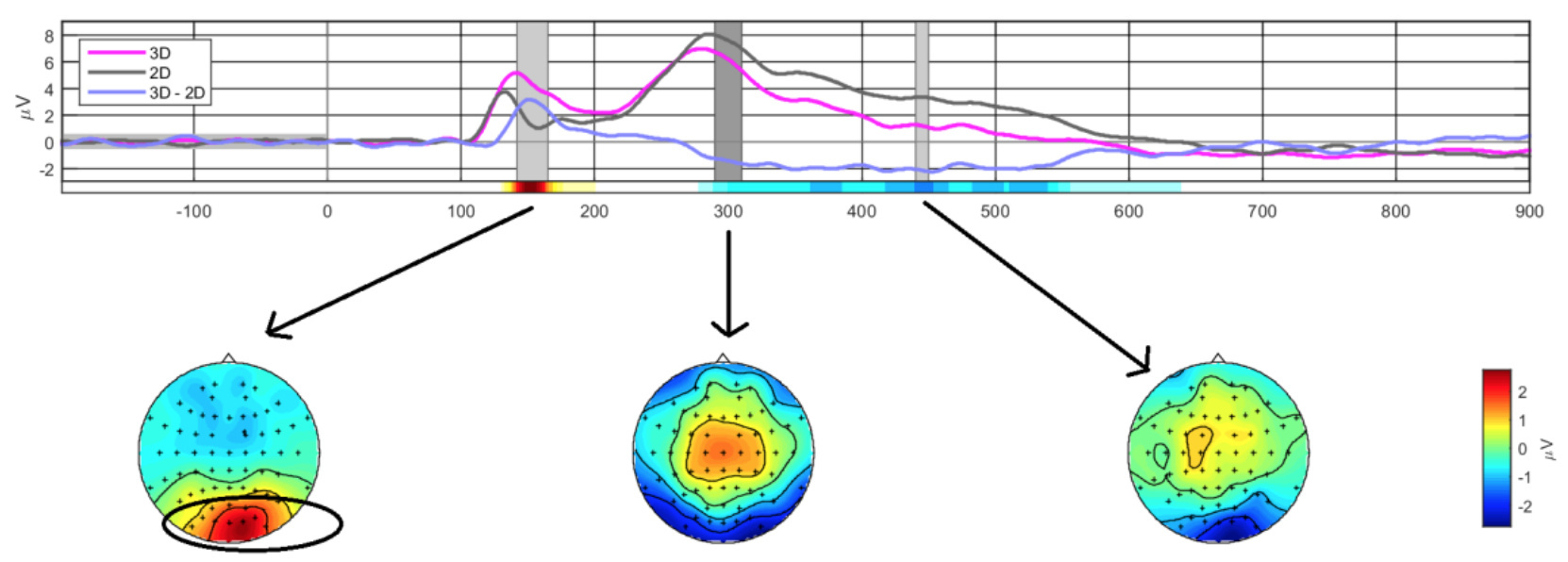 EEG, ECG and Time Series Signals